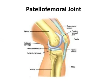 patfem joint.jpg
