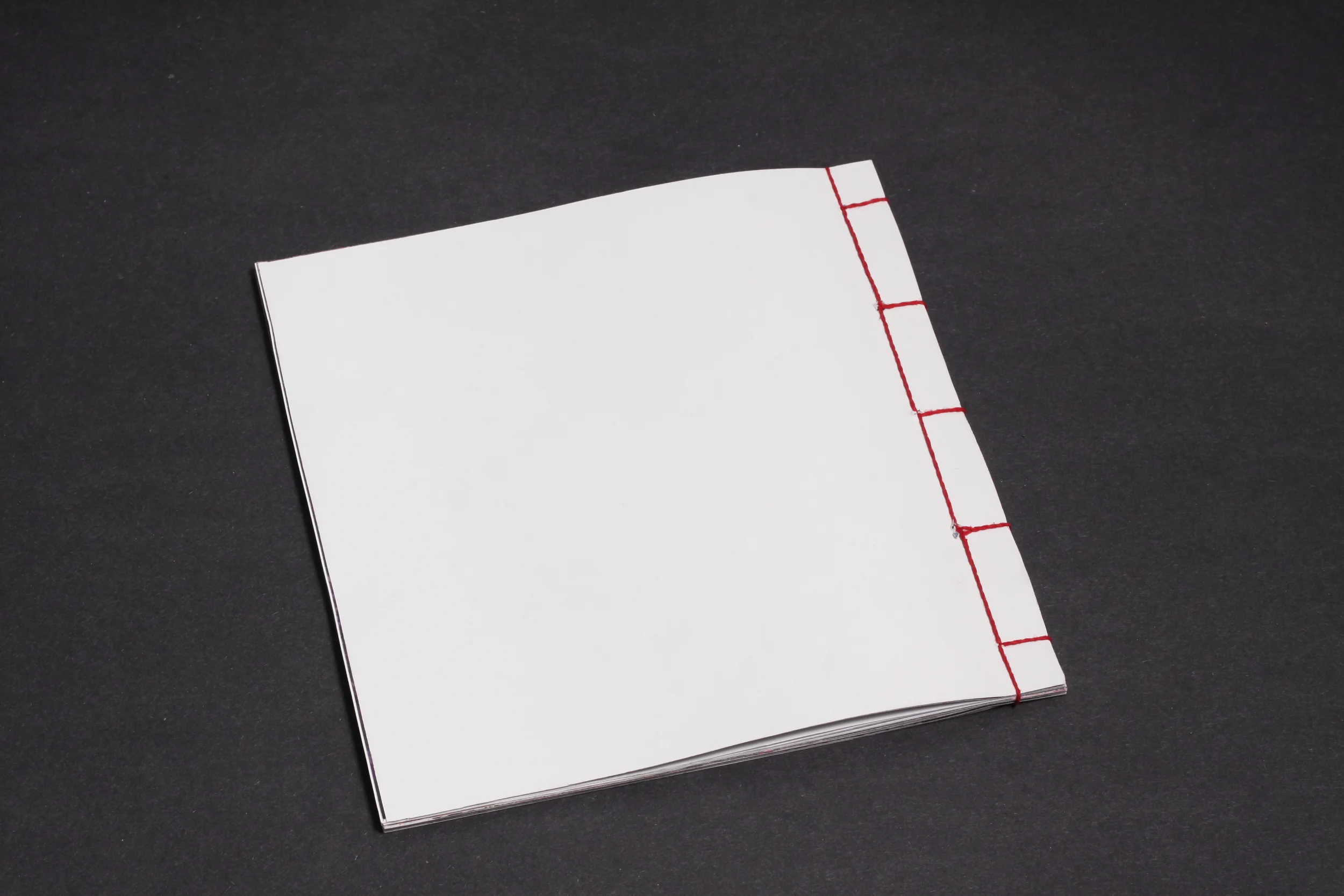   Photos by the wonderful    Matt Maydoney   