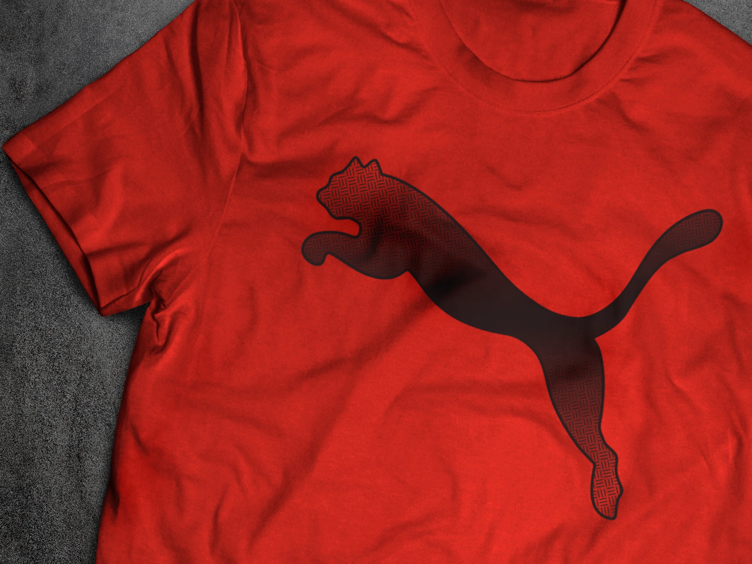 puma7.jpg