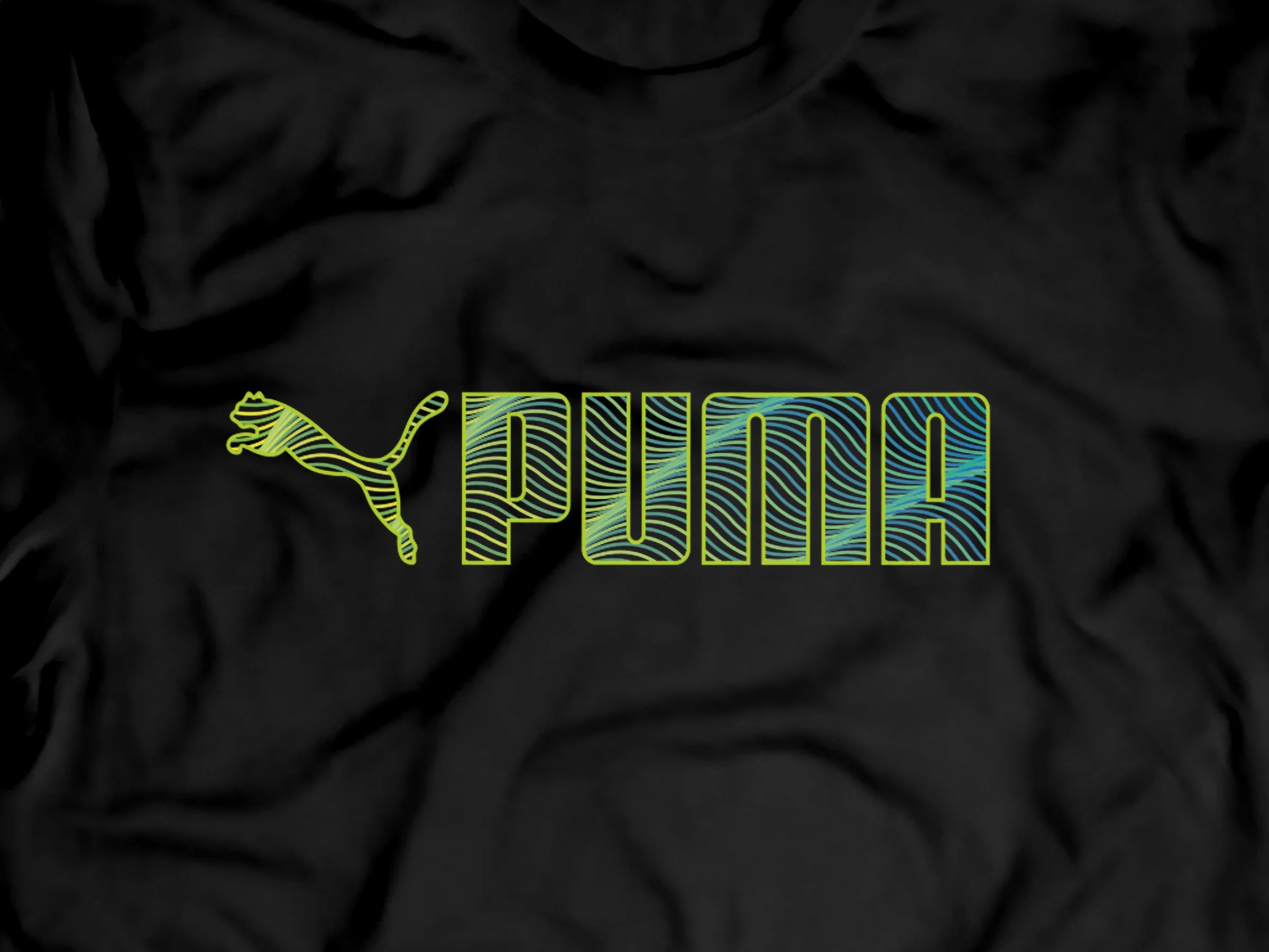 puma_cover.jpg