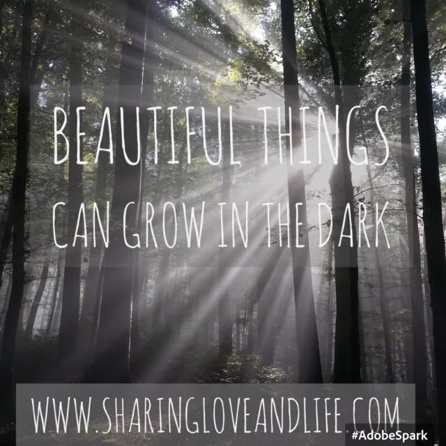 Beautiful Things Can Grow in the Dark