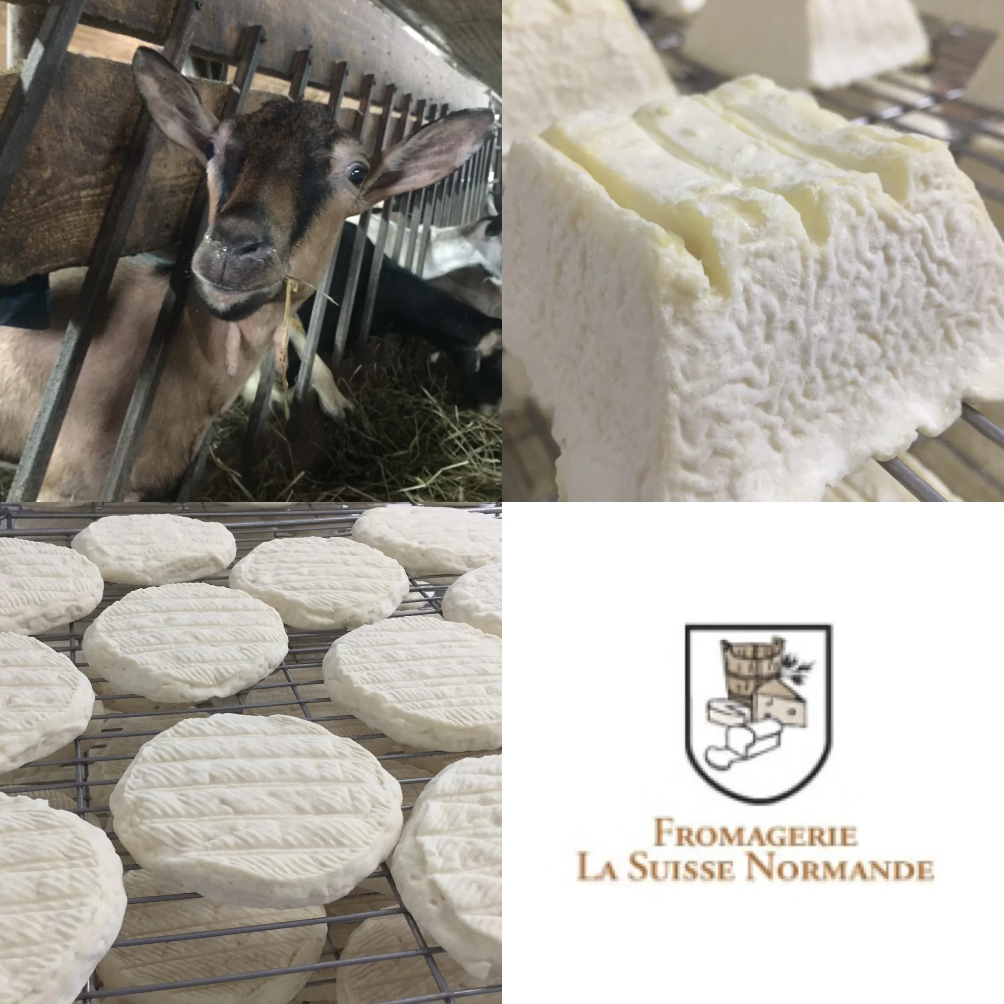 Quebec Artisan Cheese Tasting "Whole Foods Park Royal Village"