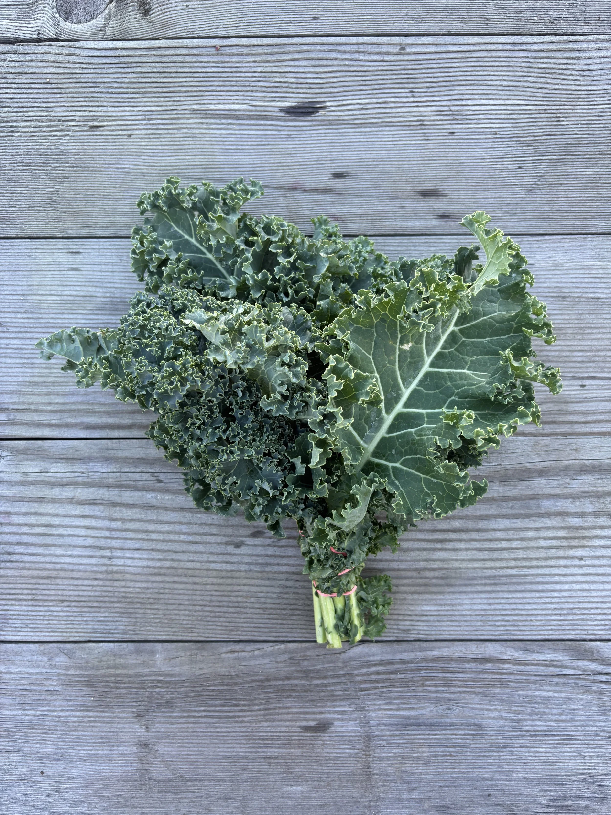 kale, green curly.jpg