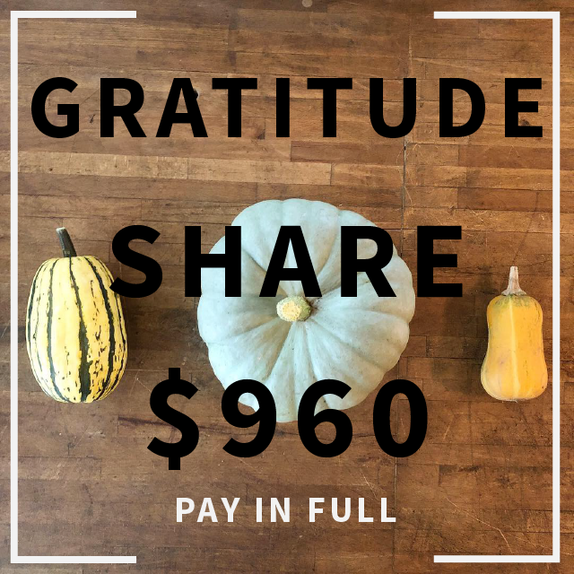 GRATITUDE - FU.png
