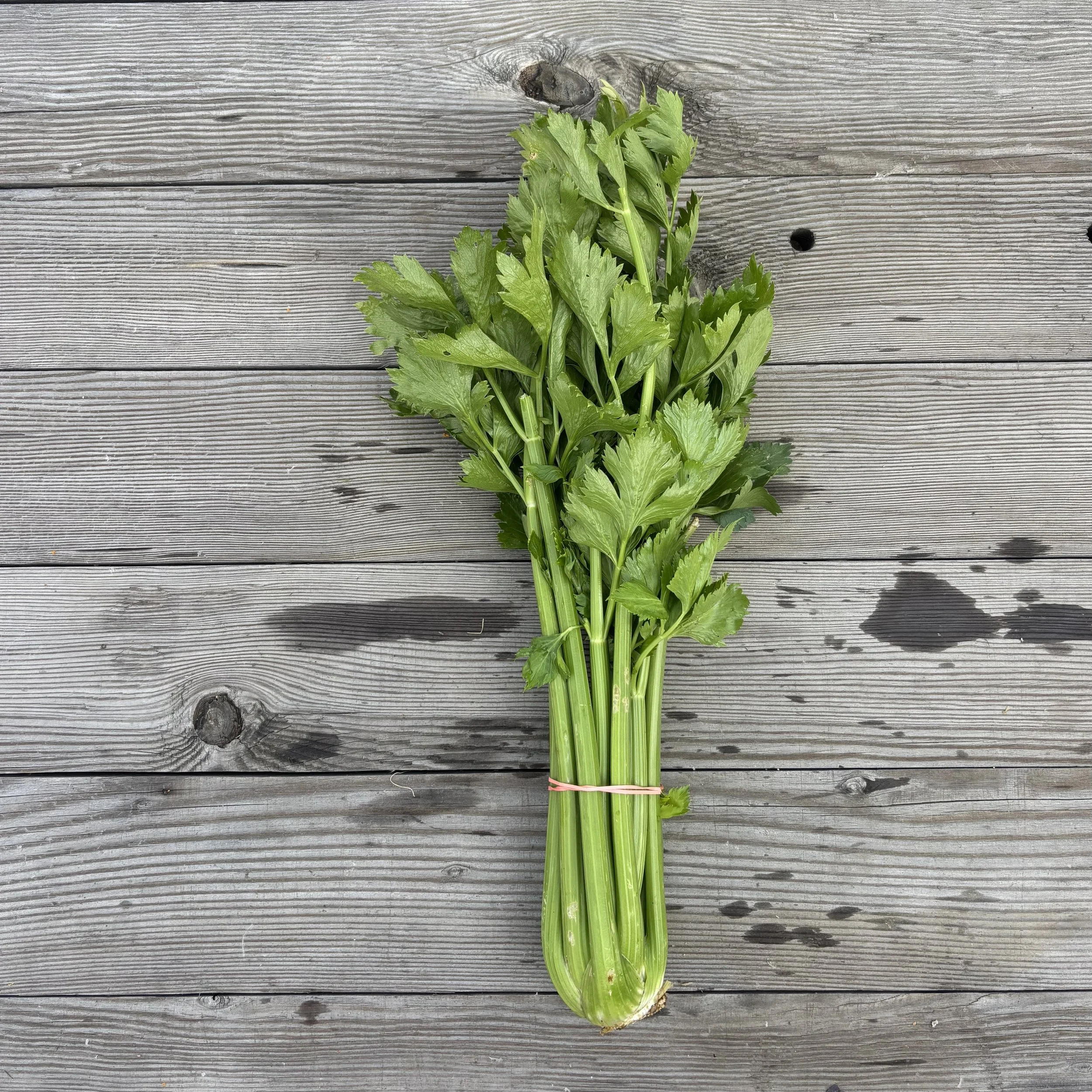 celery.jpg