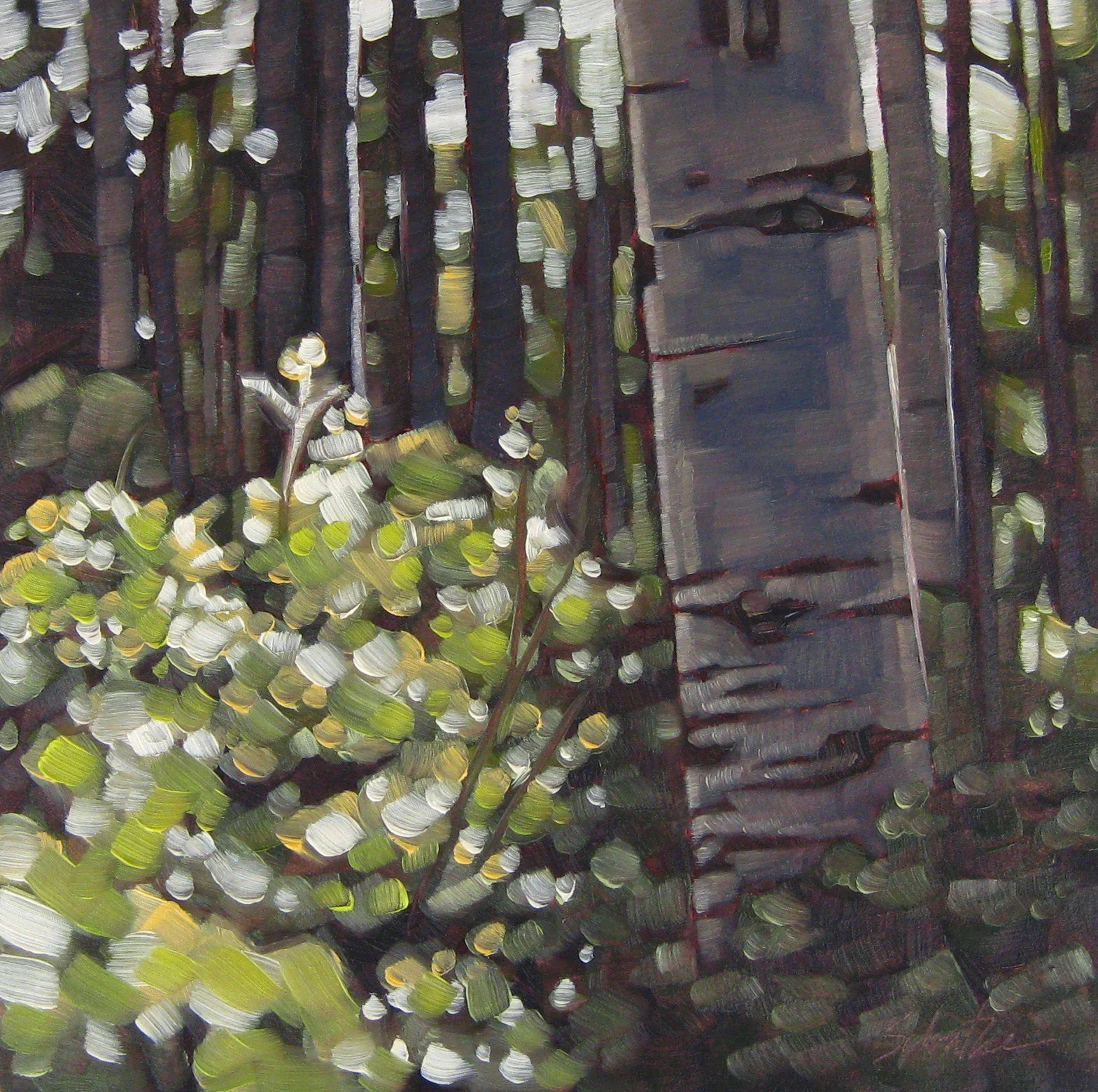 "Forest Light", Oils on Gessobord, 6" x 6" SOLD