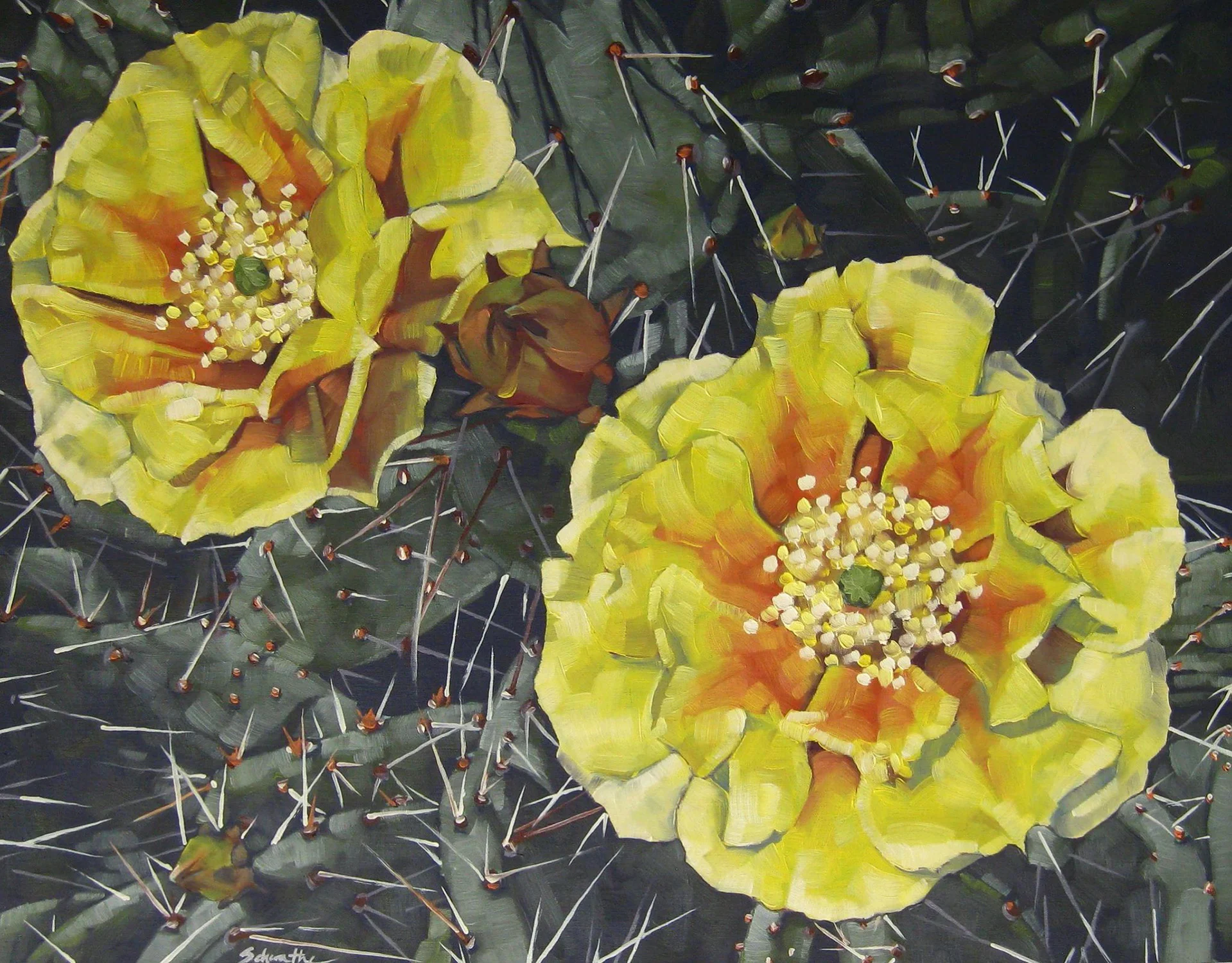 "Desert Blooms", Oil on Cradled Birch Wood Panel, 11" x 14" SOLD