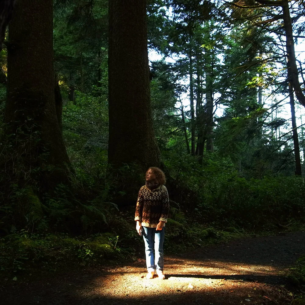 forestspotlight.jpg