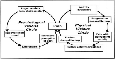 Pain cycle diagram
