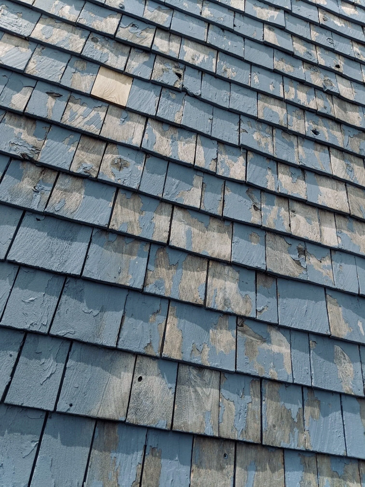 Project Galileo and Plans for 2020