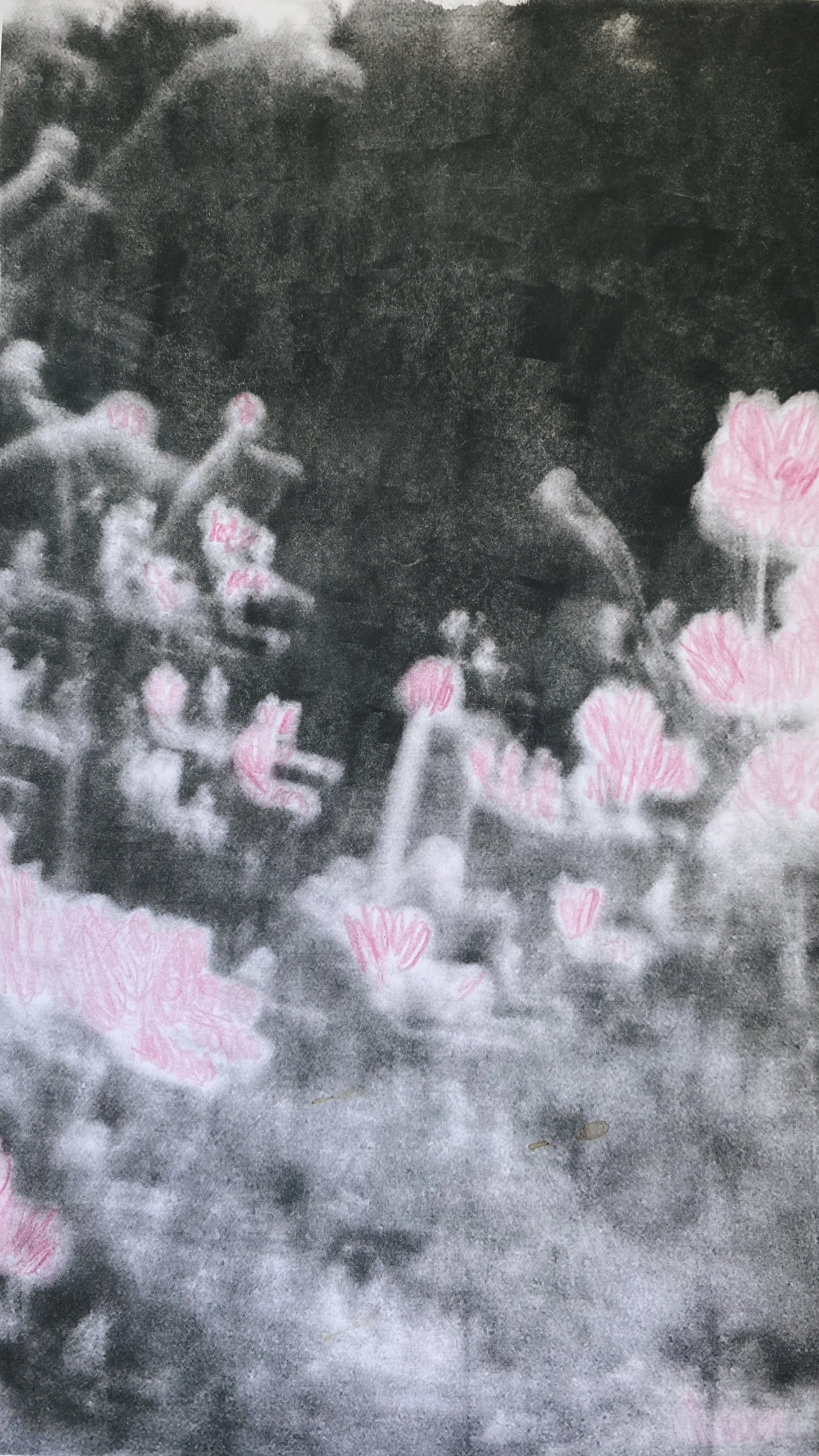 soft and quiet in aries