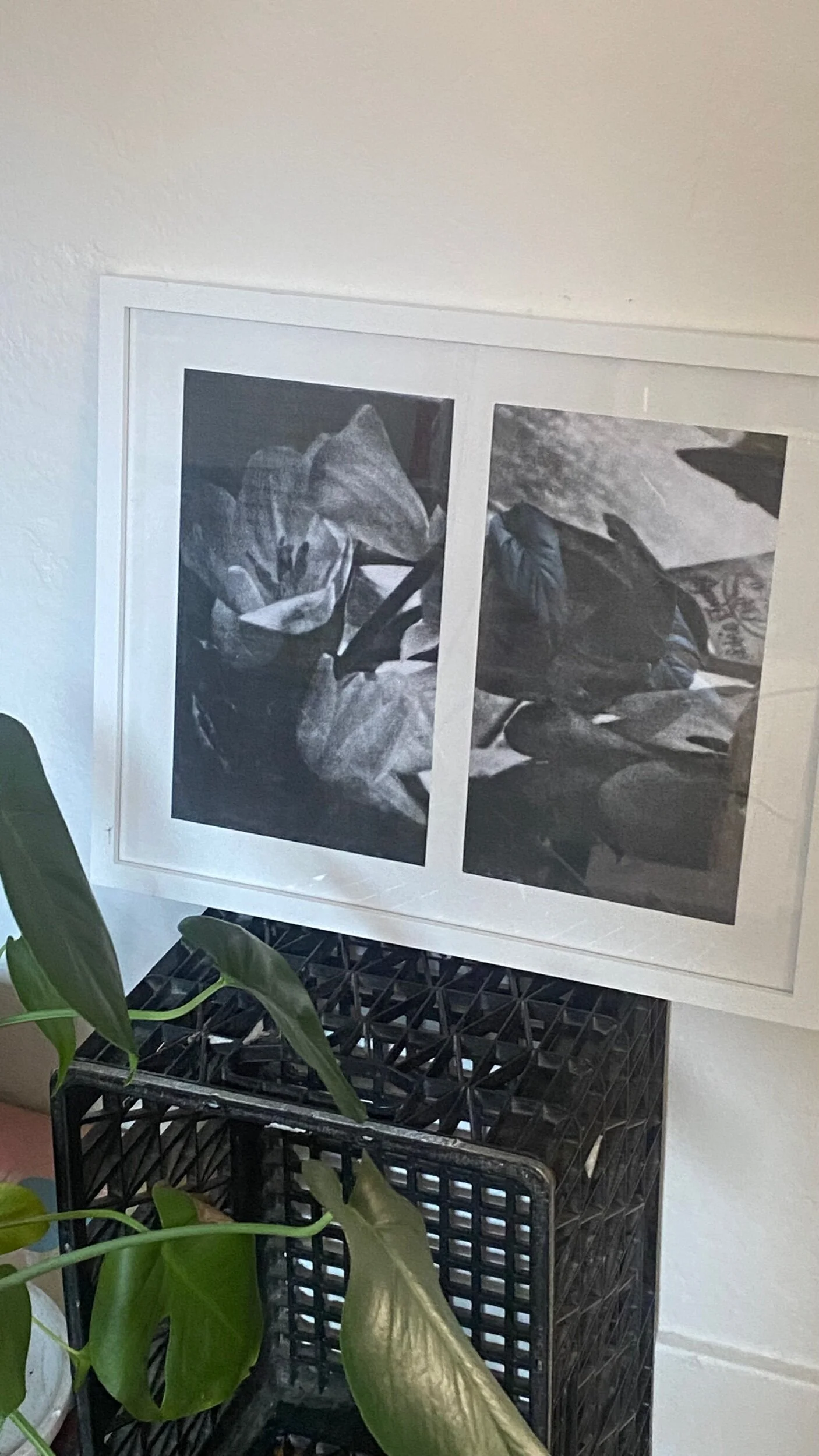 B7C2F21E-BB80-447D-8B9A-A4928968D160