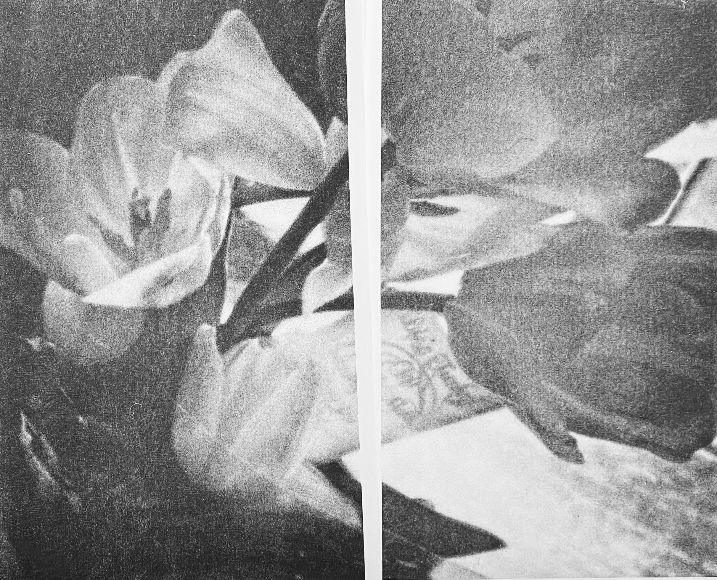 D25128CD-9A36-477E-BC7D-B4455EDB5AA6