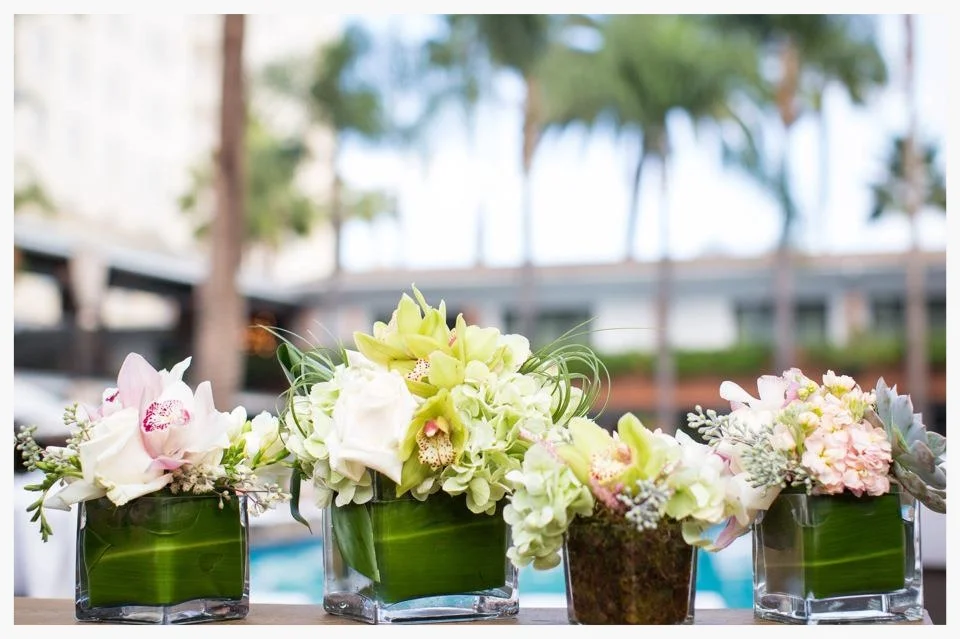 maguire wedding 7.jpg