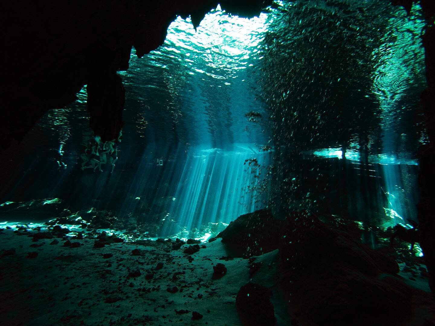 Cenote diving and bat cave exploring 🦇