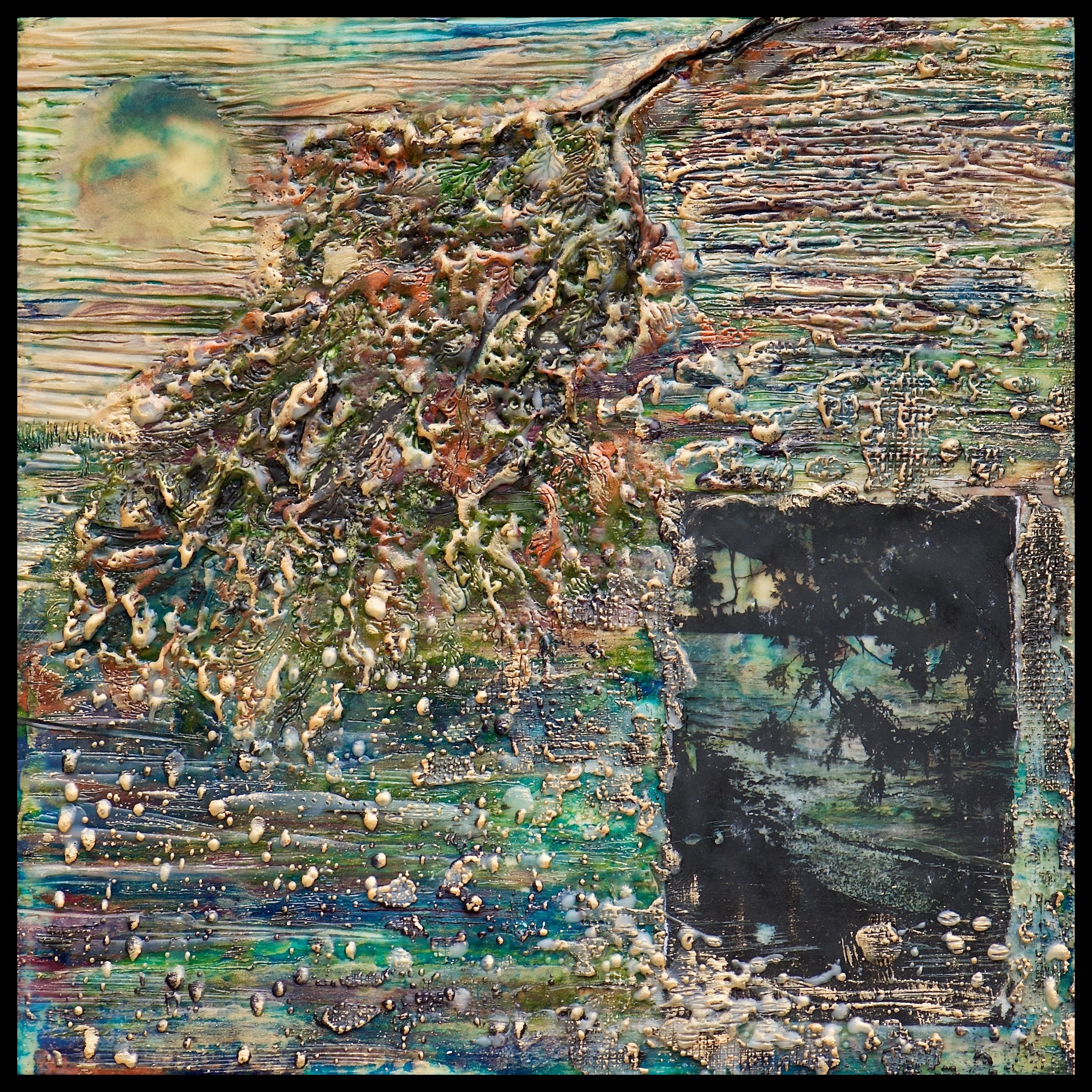 Natural Connections