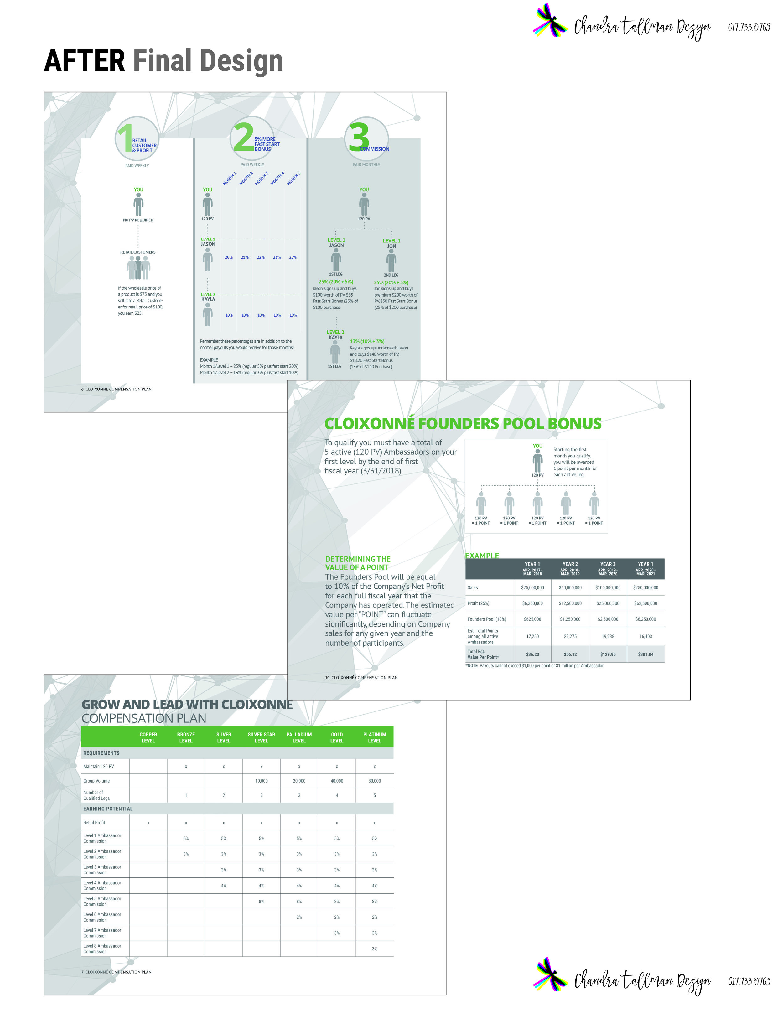A few of the infographics pages in the final compensation plan design