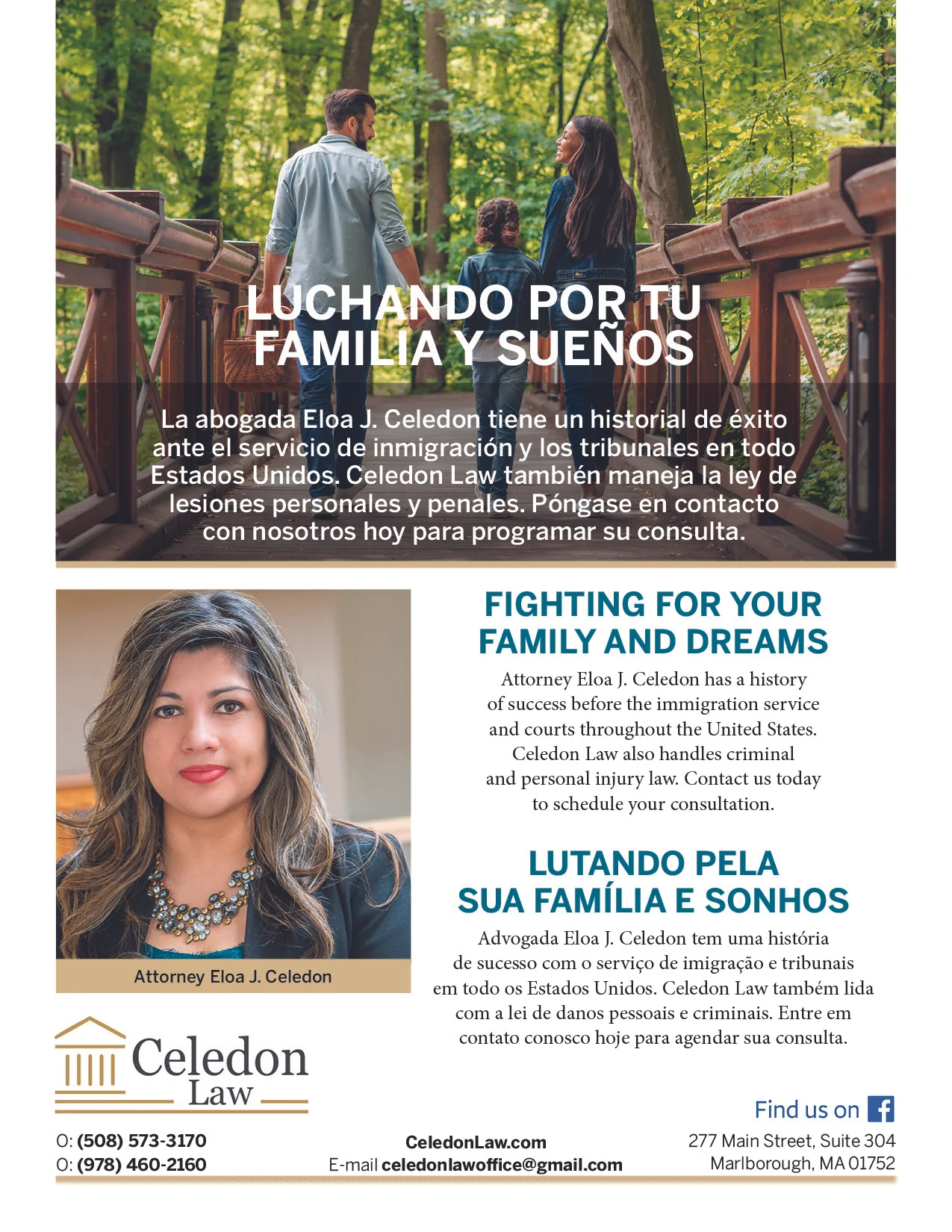 Celedon Law - Flyers