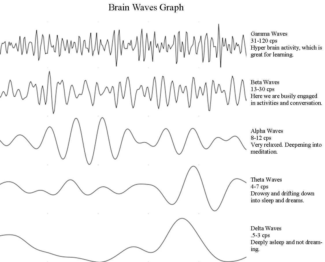 Did you know...Brain Waves