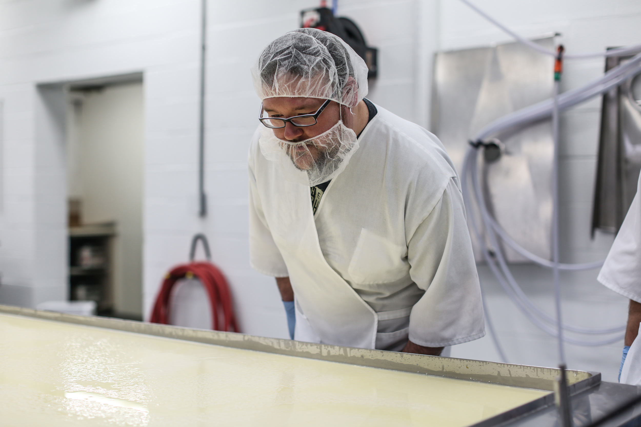 Examining the milk as curds begin to form