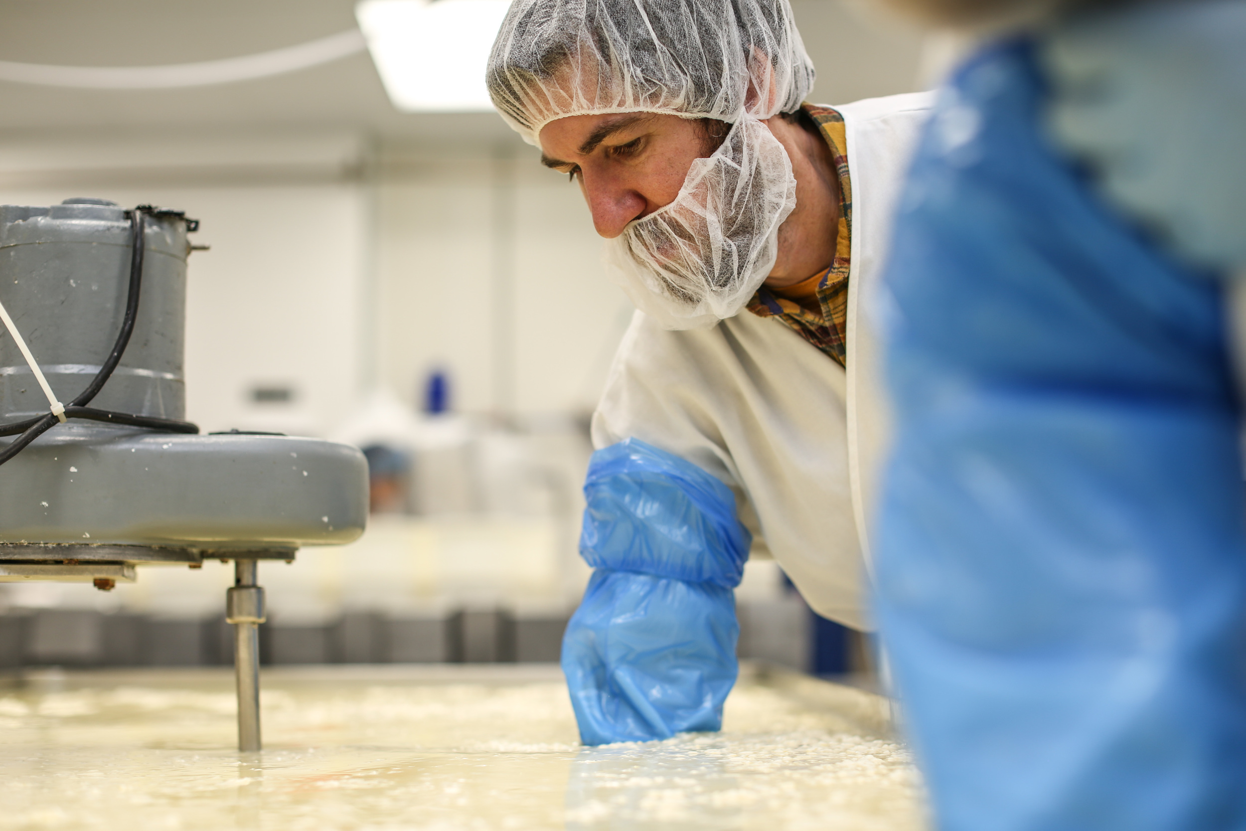 Breaking up the curds helps release the whey from the cheese