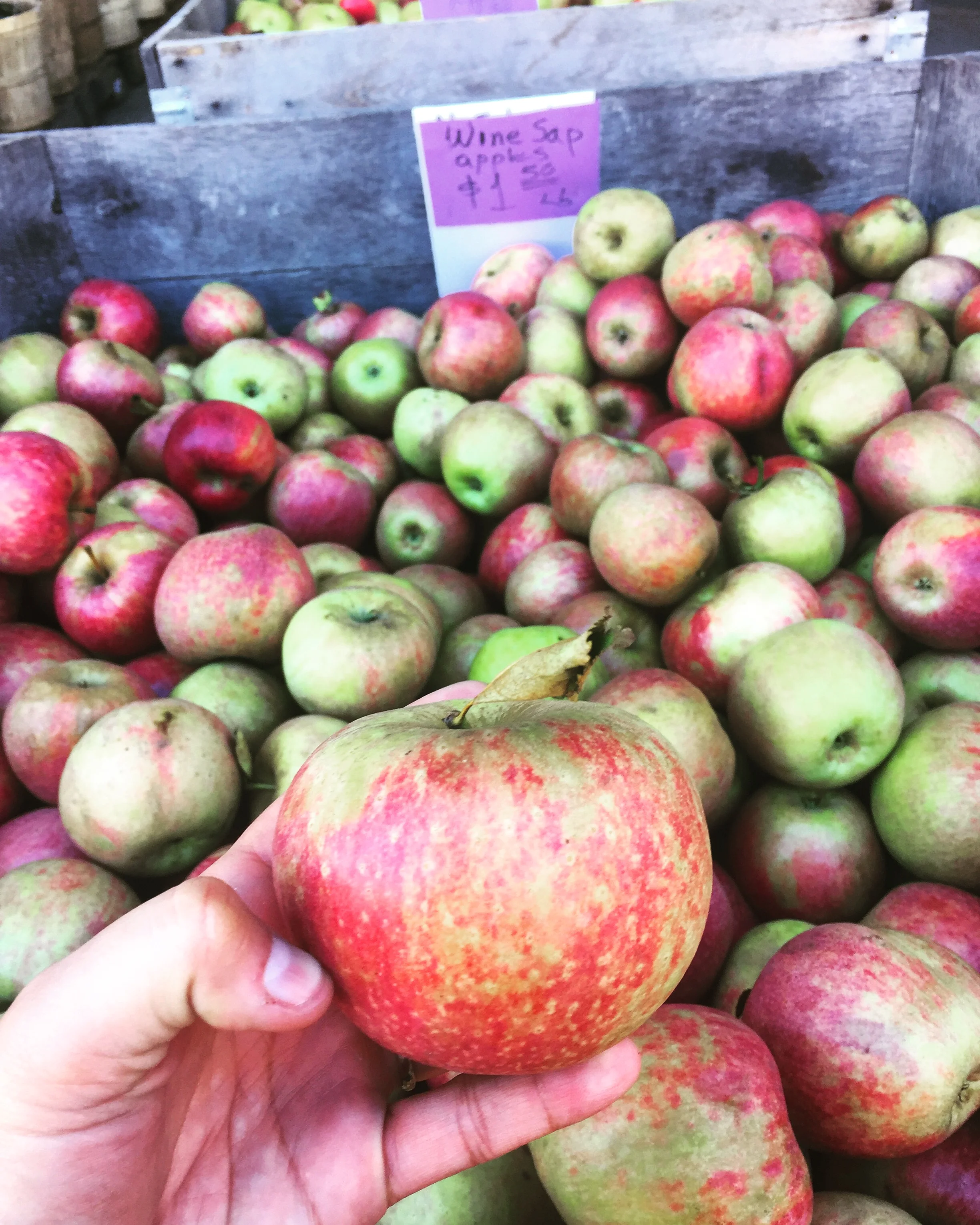Our fav apple of the season, the Winesap from Smiley's Farm