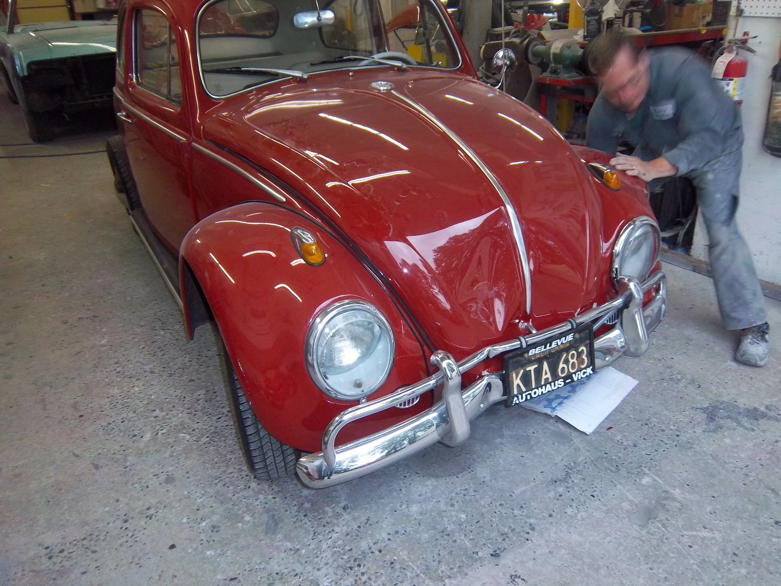 Gallery — Fenders and Fins, Inc