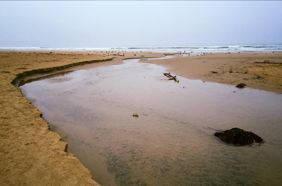 Pismo Beach. PC: Markham