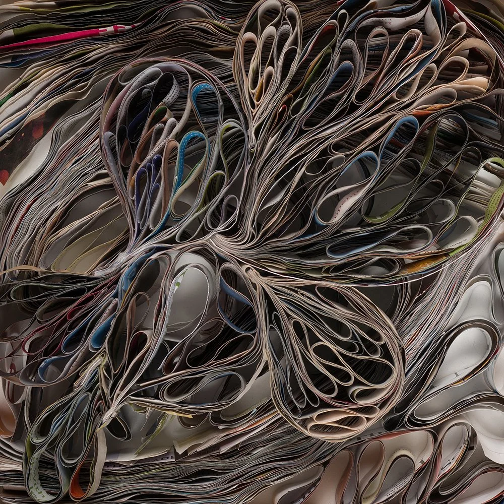 oceanic-pods-marilyn-mcrae-paper-art.jpg