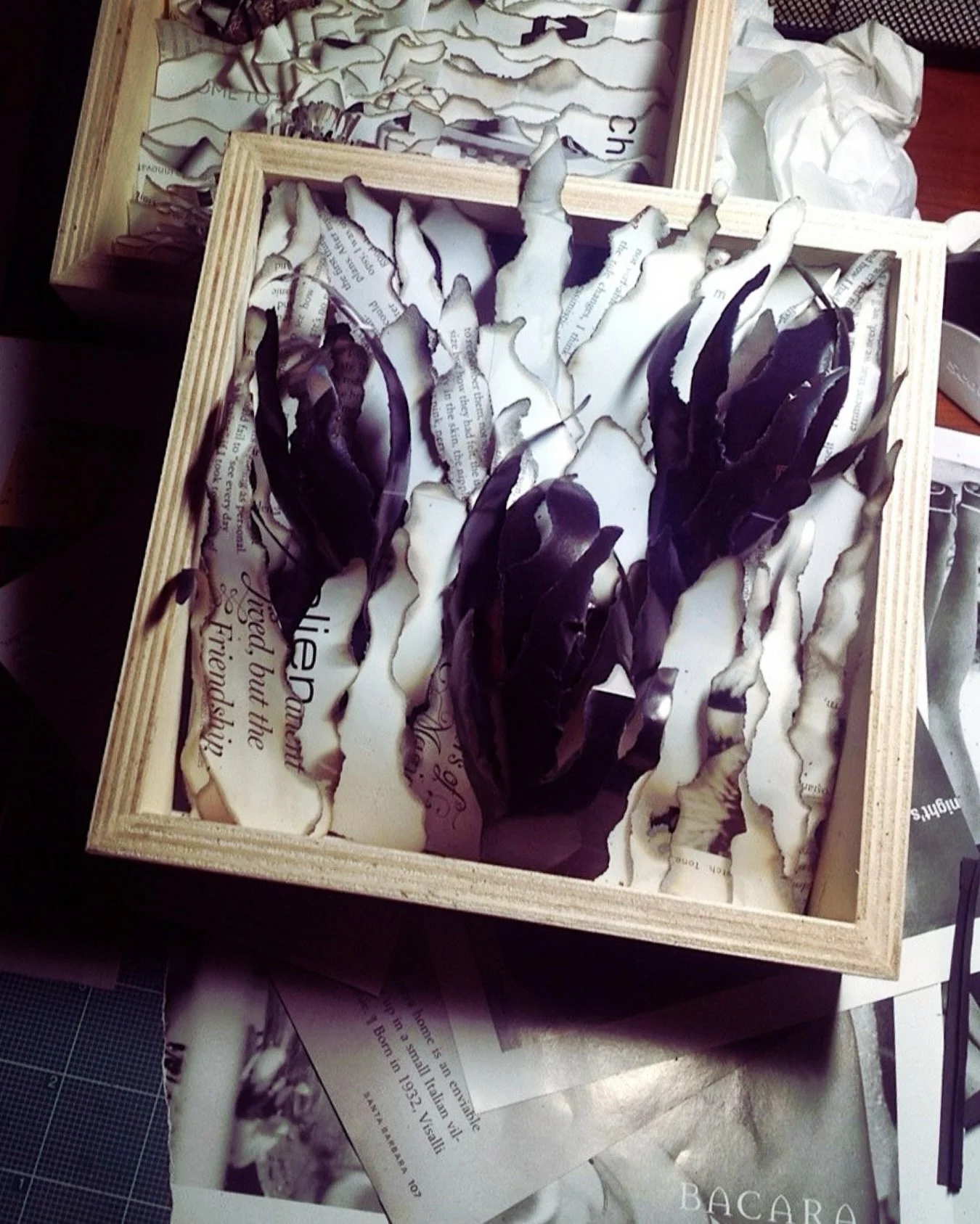 A little throwback to Evening Crocus. 

Burned, torn, layered, and sculpted paper come together to create this moody botanical study. I love how the charred edges bring contrast and depth to the delicate forms&mdash;turning ordinary pages into someth