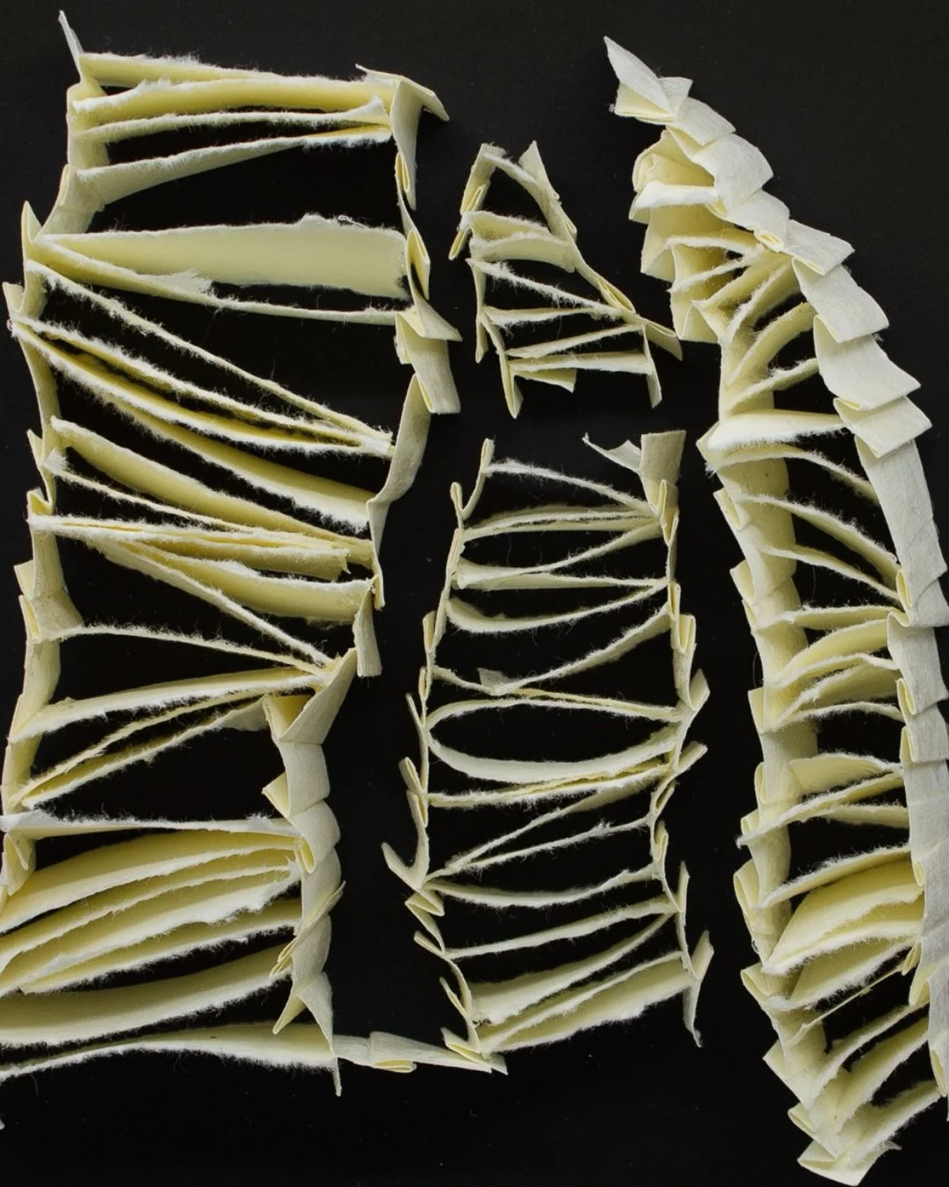 A closer look at The Climb.
Sometimes the smallest details tell the biggest story. Delicate strips of paper are torn, layered, and shaped into forms that seem to stretch, twist, and climb upward&mdash;transforming an everyday material into something 