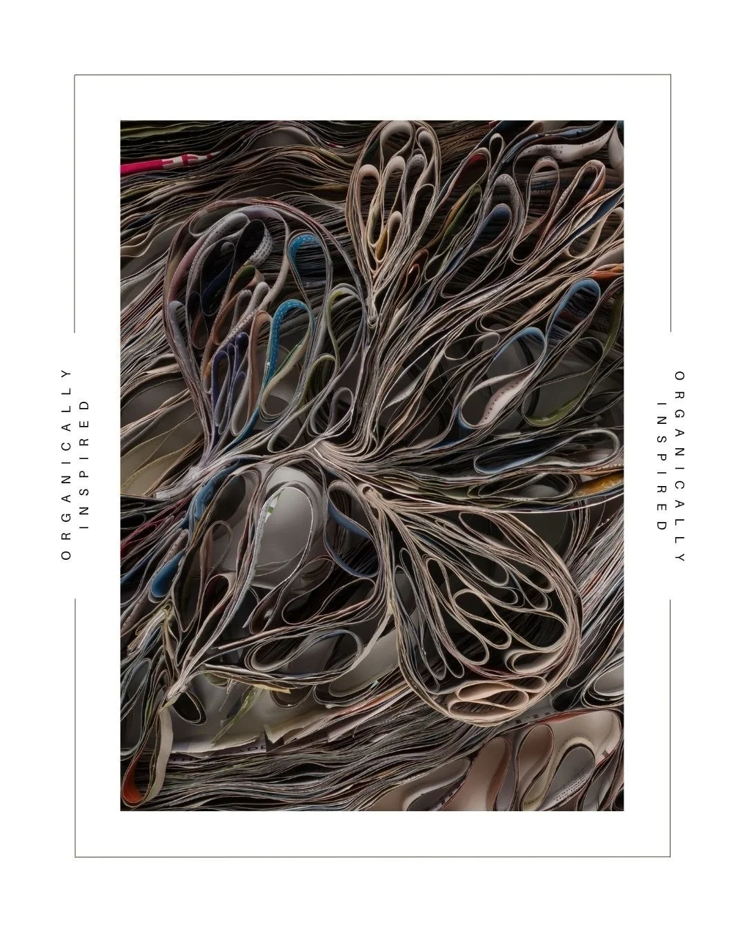 IN THE STUDIO

Marilyn McRae&rsquo;s Featured Artworks: Organically Inspired&mdash;Oceanic Pods, Oceanic Currents, and Organic Study 1&ndash;4&mdash;explore the natural movement, rhythm, and organic forms found in nature.

Using recycled magazine pag