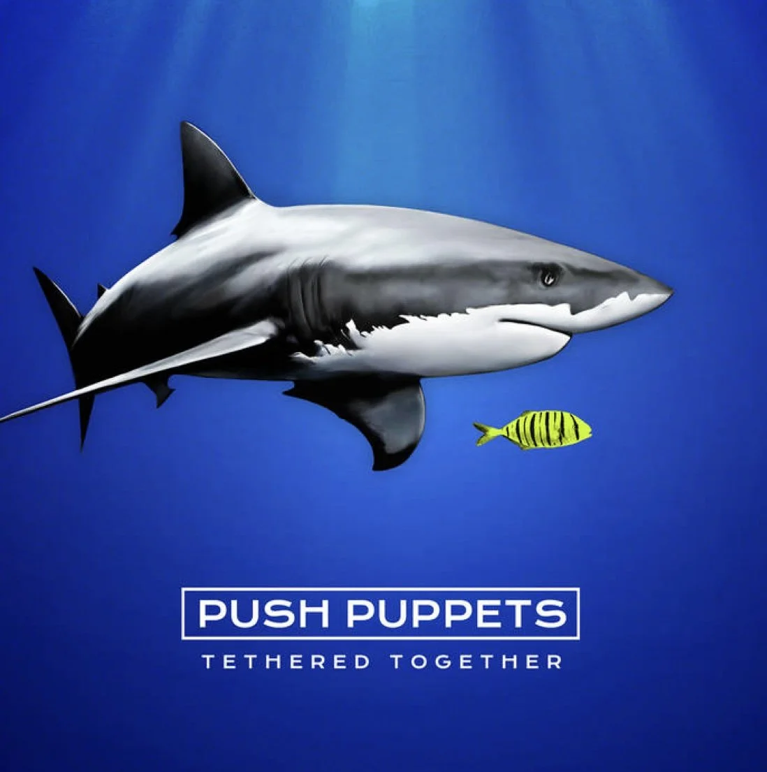  Tethered Together - Push Puppets 