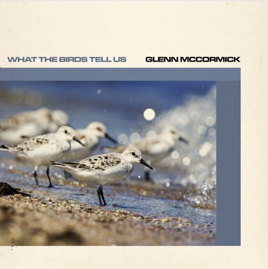  What The Birds Tell Us - Glenn McCormick 