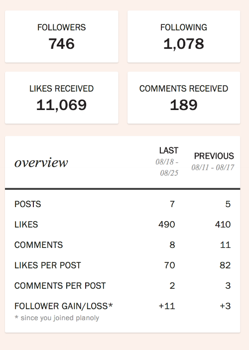 Planoly analytics. 