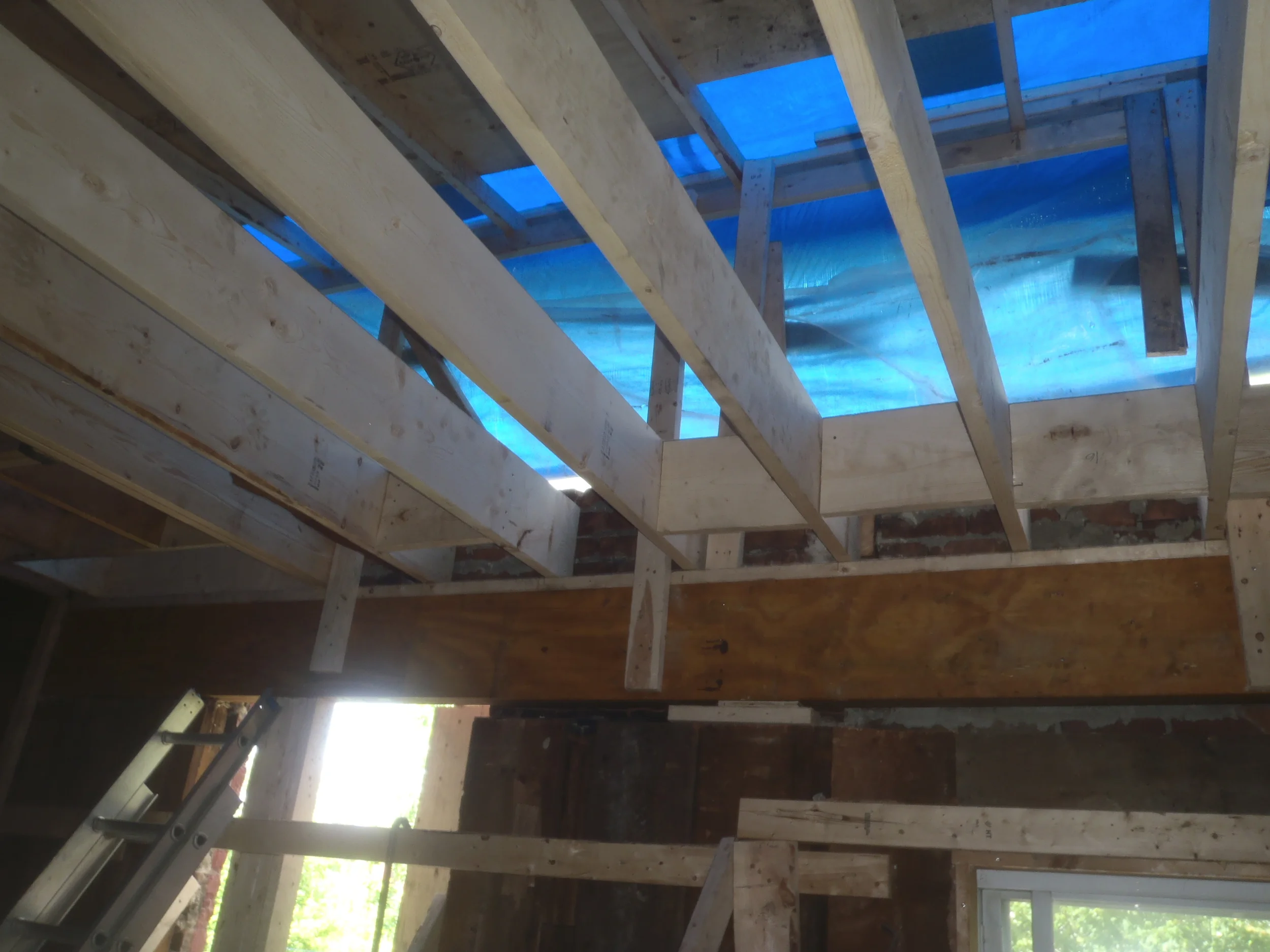 Frame up under the tarp....