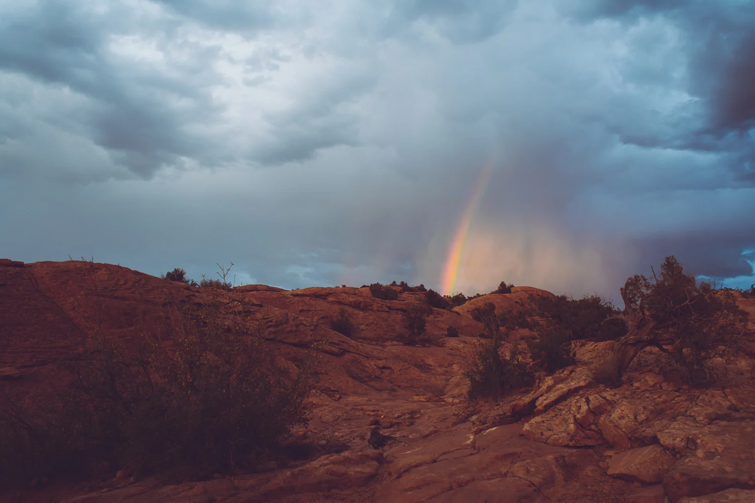 web_utahrainbow.jpg