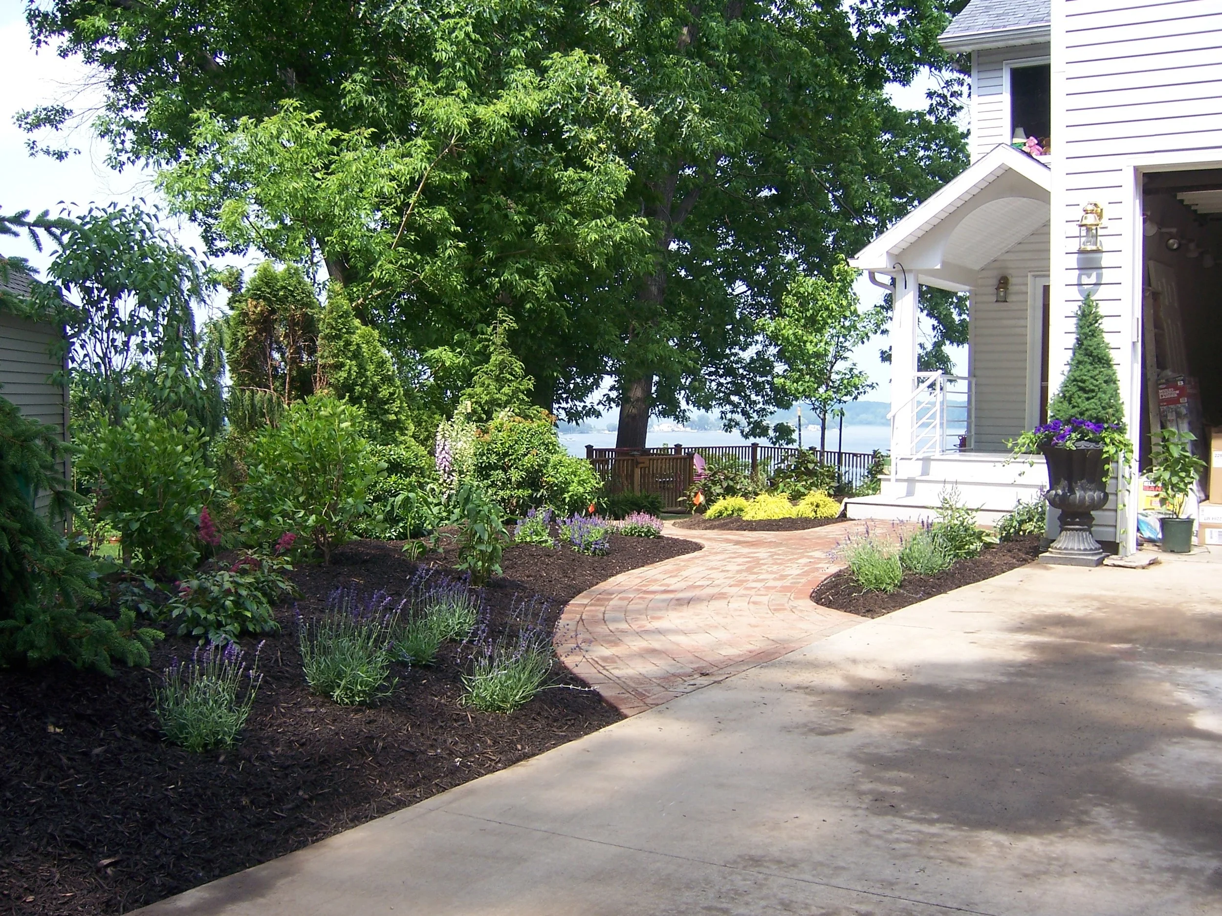 planting 2.JPG