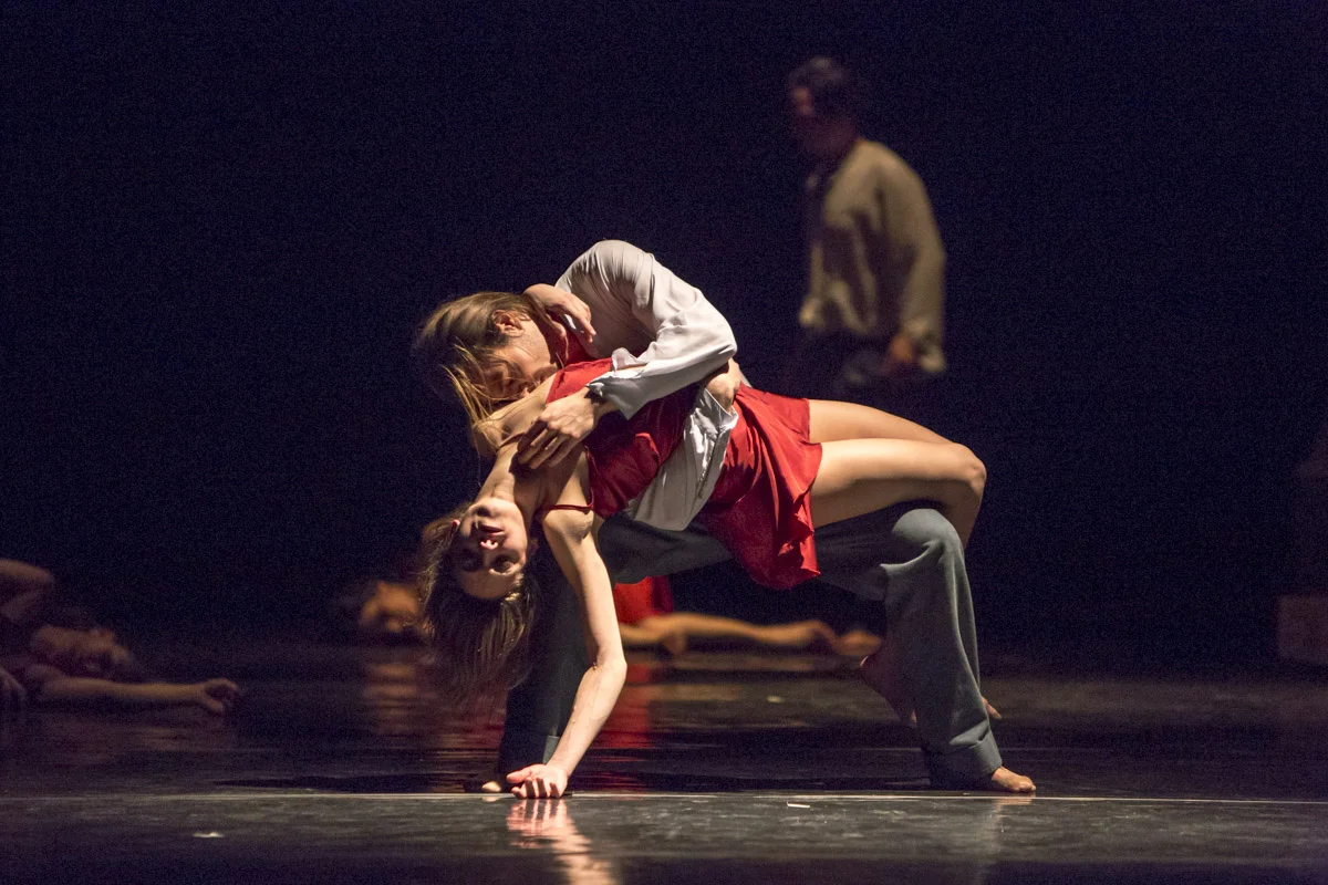 Romeo y Julieta Tango, Naturalis Labor