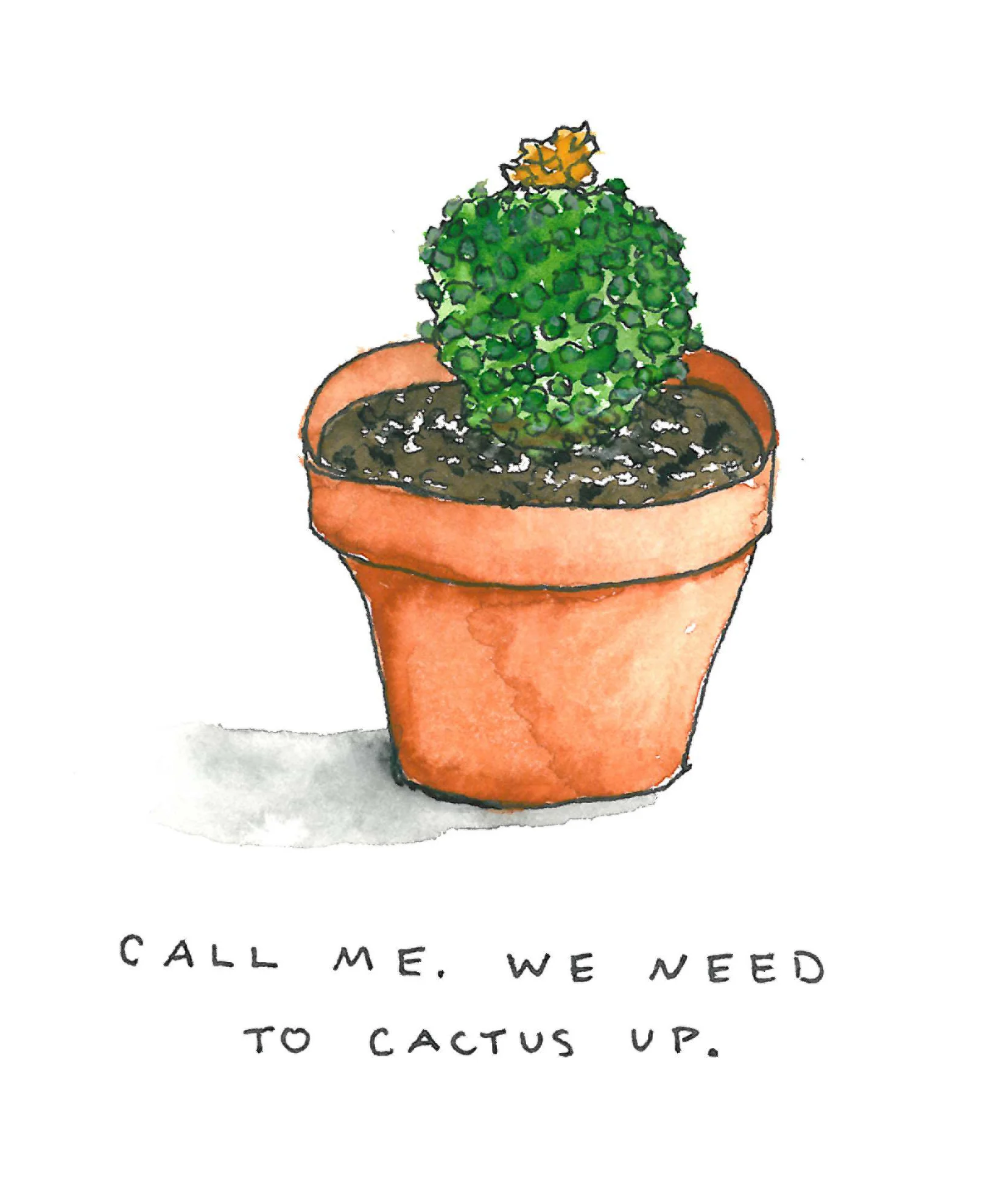 cactus.jpg