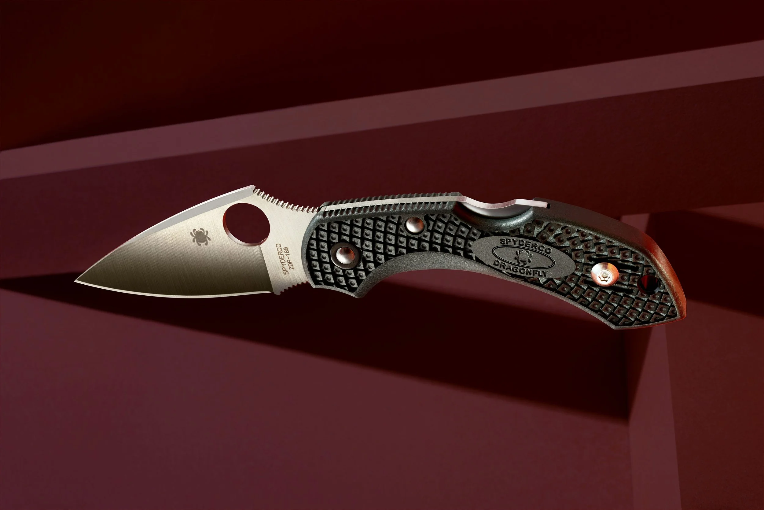 Spyderco DragonFly24549.jpg