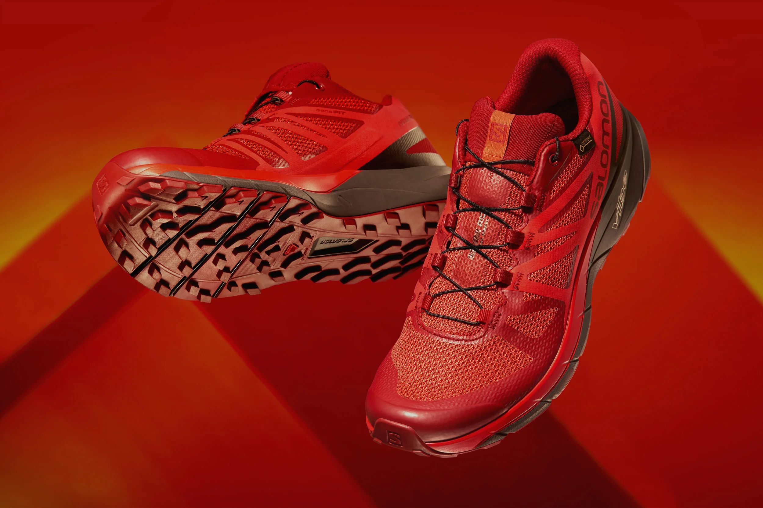 Salomon Sense Ride GTX.jpg