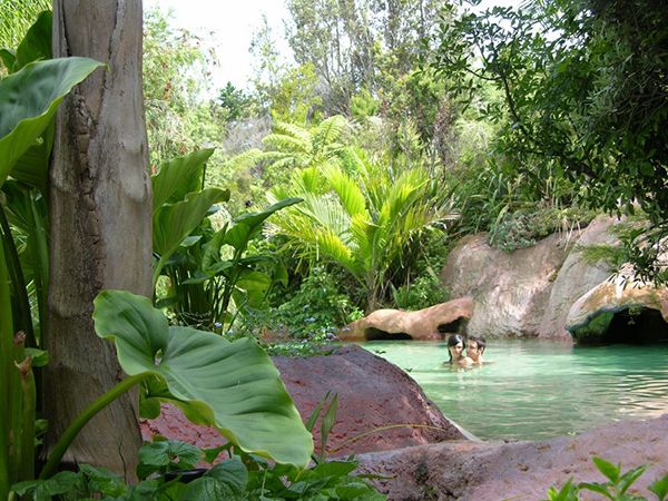 thermal-pools-new-zealand.jpg