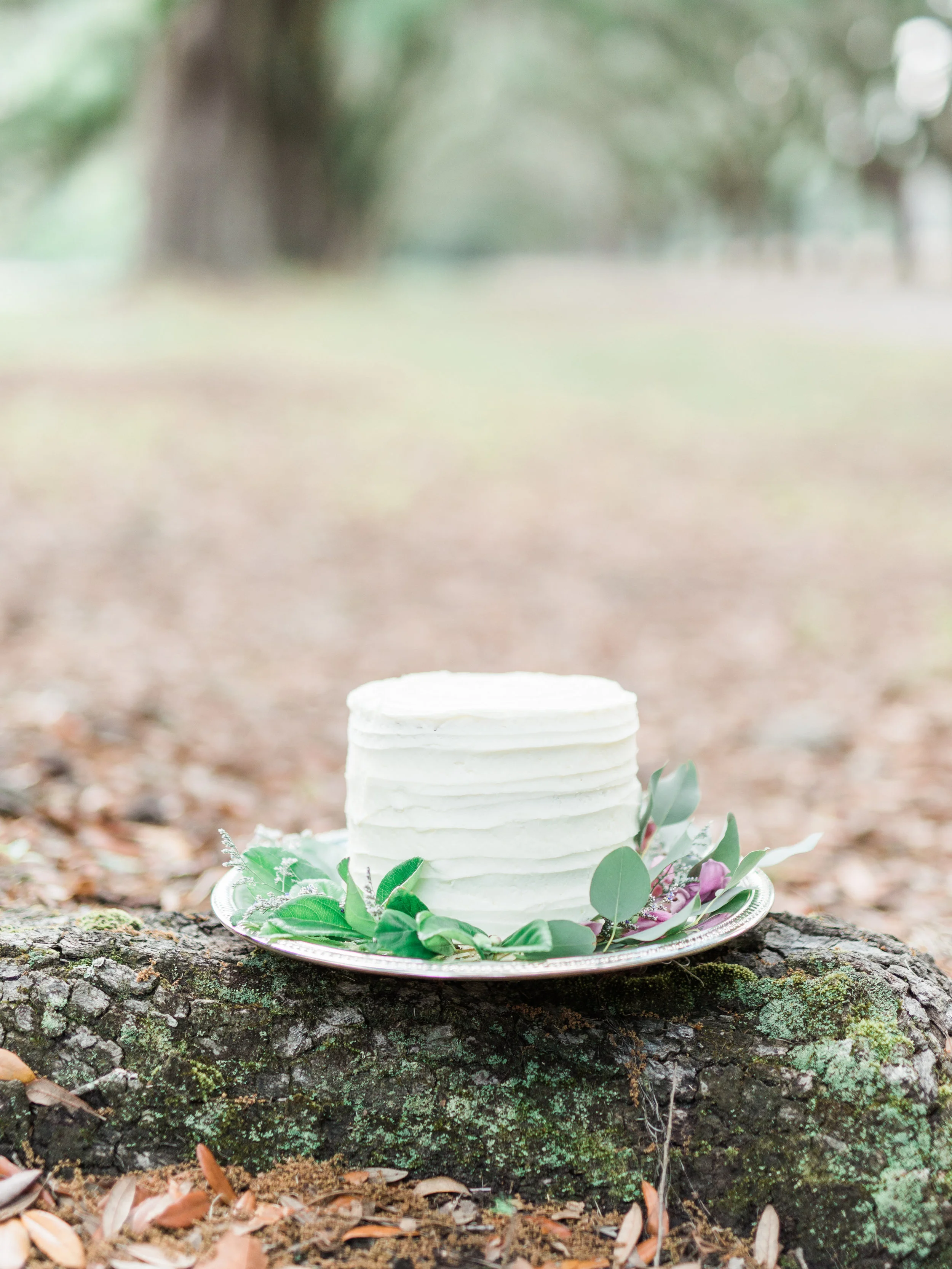 Demure Romance Shoot-Wormsloe Styled Shoot-0069.jpg