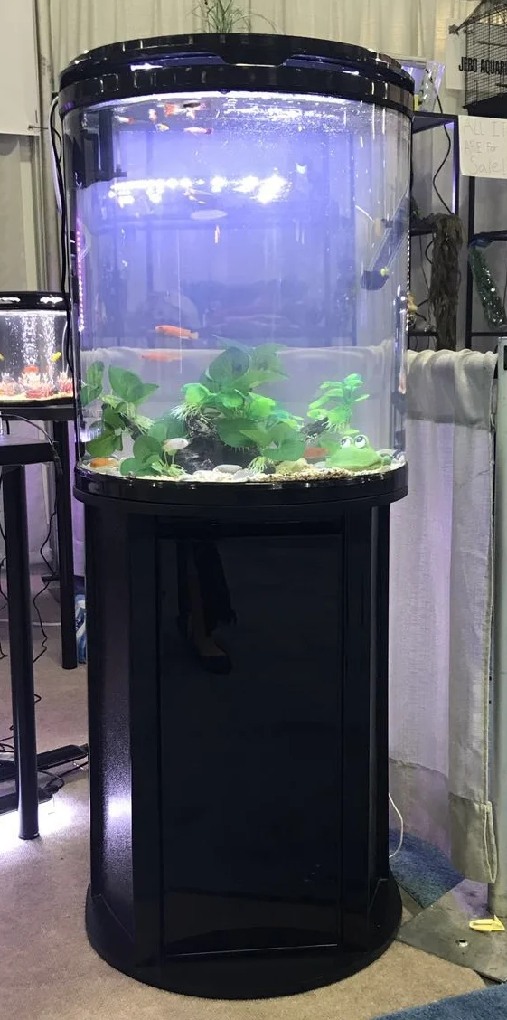 half moon aquarium