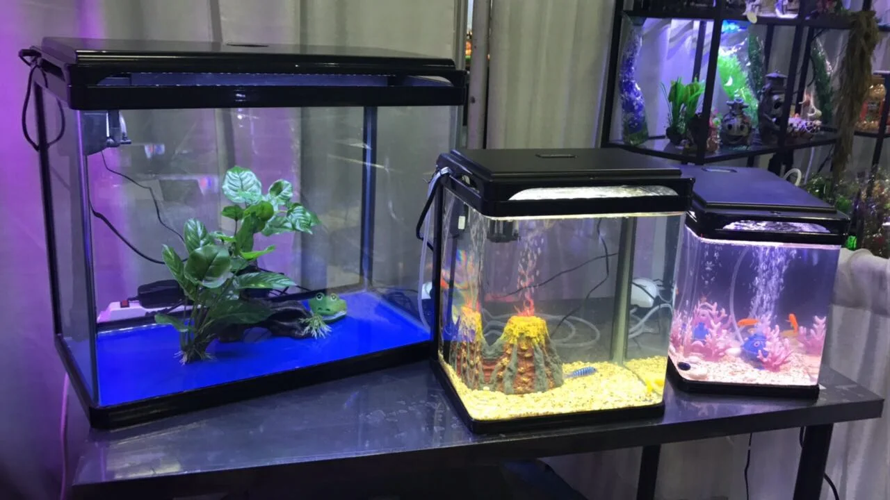 Home Camry Aquatic Inc C A Y