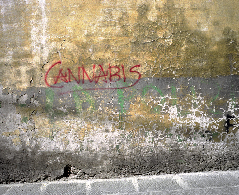 Cannabis.jpg