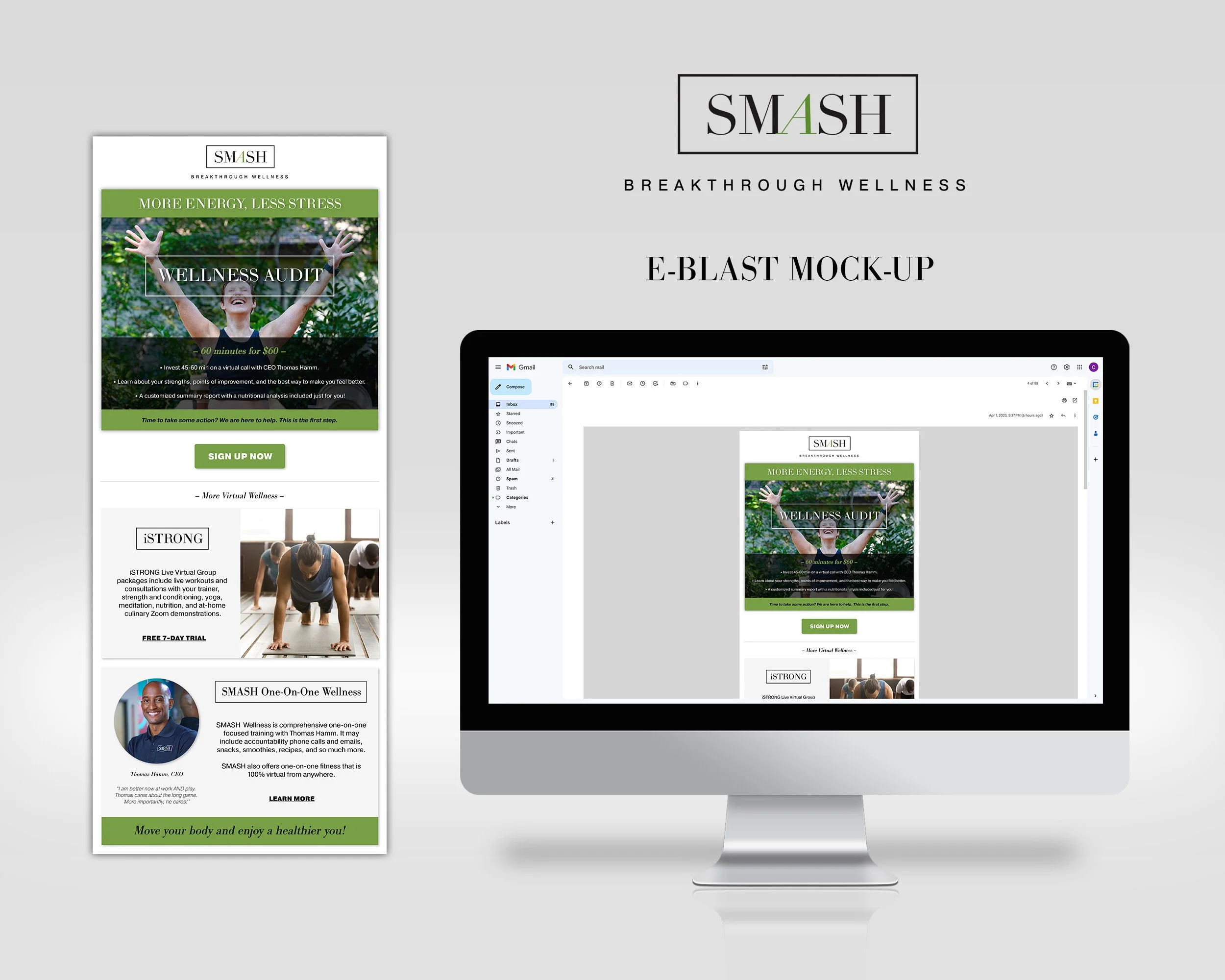 SMASH Audit E-Blast Mockup_Portfolio.jpg