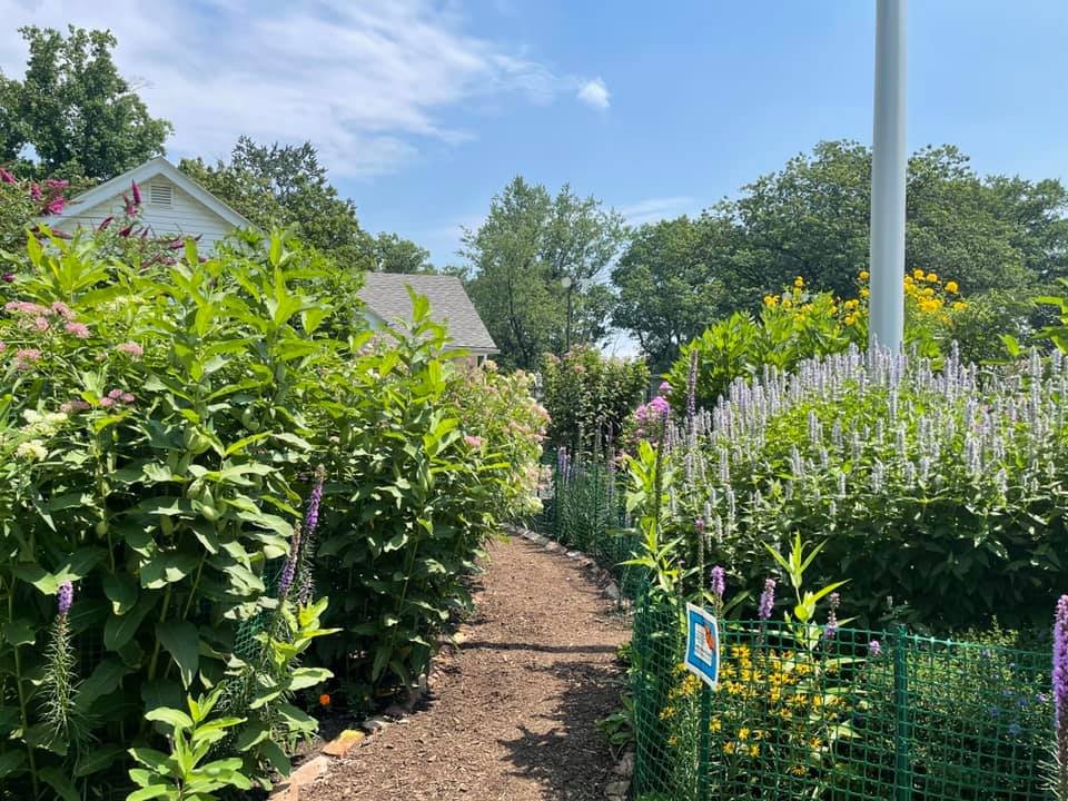 Butterfly/Pollinator Garden Expansion