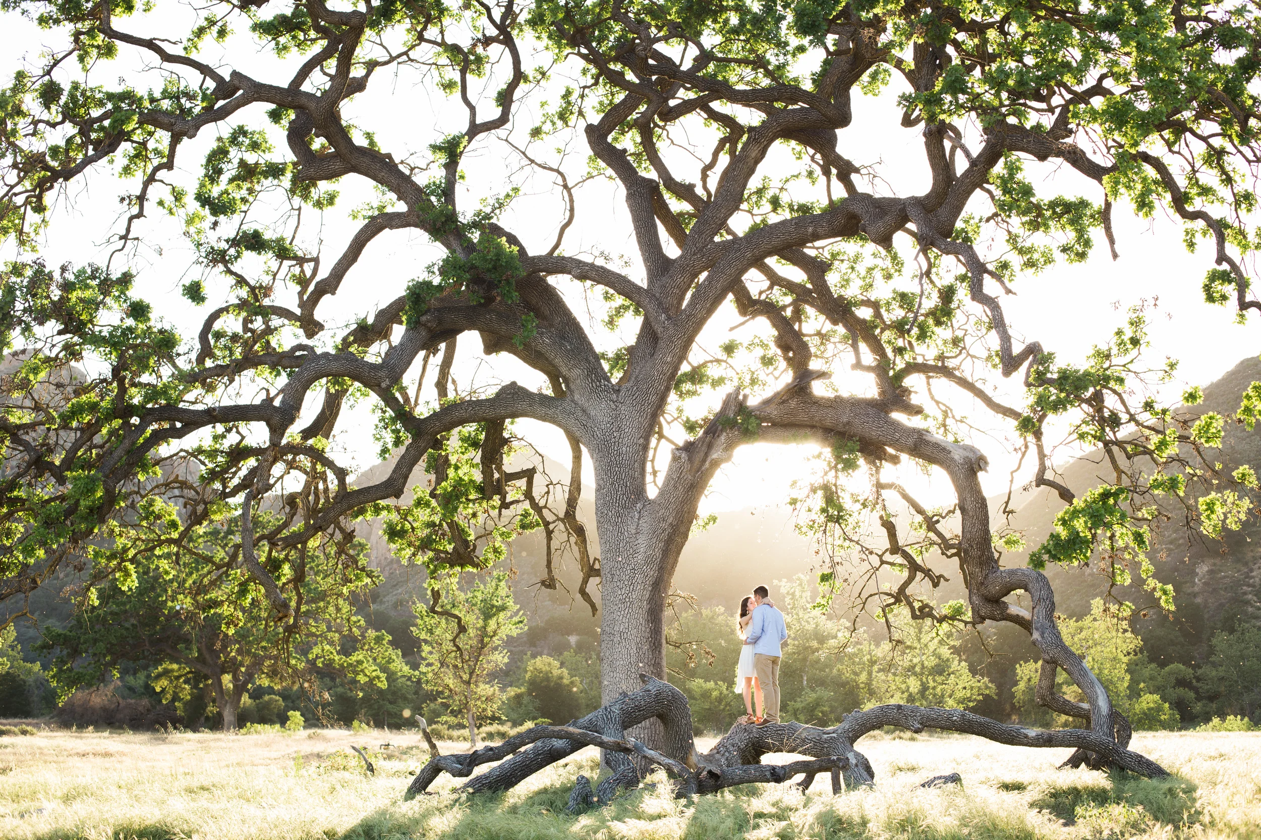 Lauryn and Dom Journal-27.jpg